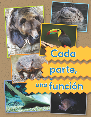 Cada Parte, Una Función - 