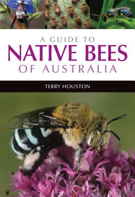 Coperta cărții 'A Guide to Native Bees of Australia - Terry Houston'