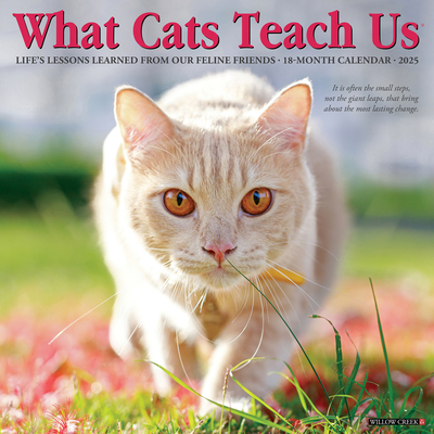 What Cats Teach Us 2026 12 X 12 Wall Calendar -