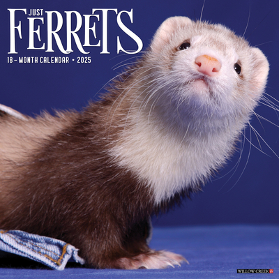 Ferrets 2026 12 X 12 Wall Calendar - 