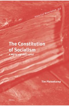 Coperta cărții 'The Constitution of Socialism: A World Without Capital - Tim Platenkamp'