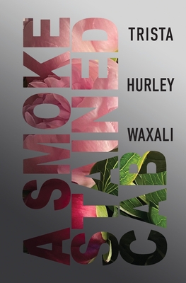 A Smoke Stained Cab - Trista Hurley-waxali