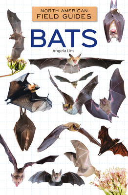 Bats - Angela Lim