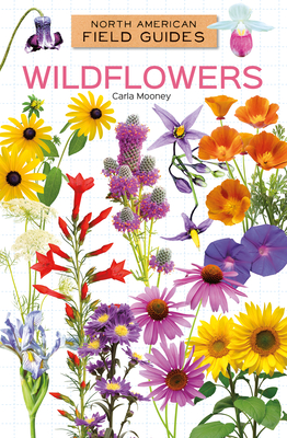 Wildflowers - Carla Mooney