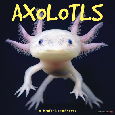Axolotls 2026 12 X 12 Wall Calendar - 