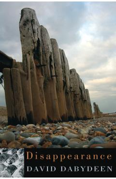 Coperta cărții 'Disappearance - David Dabydeen'