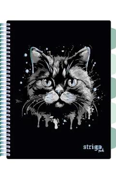 Imaginea produsului 'Caiet matematică A4 cu spirală și separatoare: Pisica'