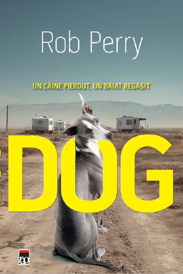 Dog. Un caine pierdut, un baiat regasit - Rob Perry