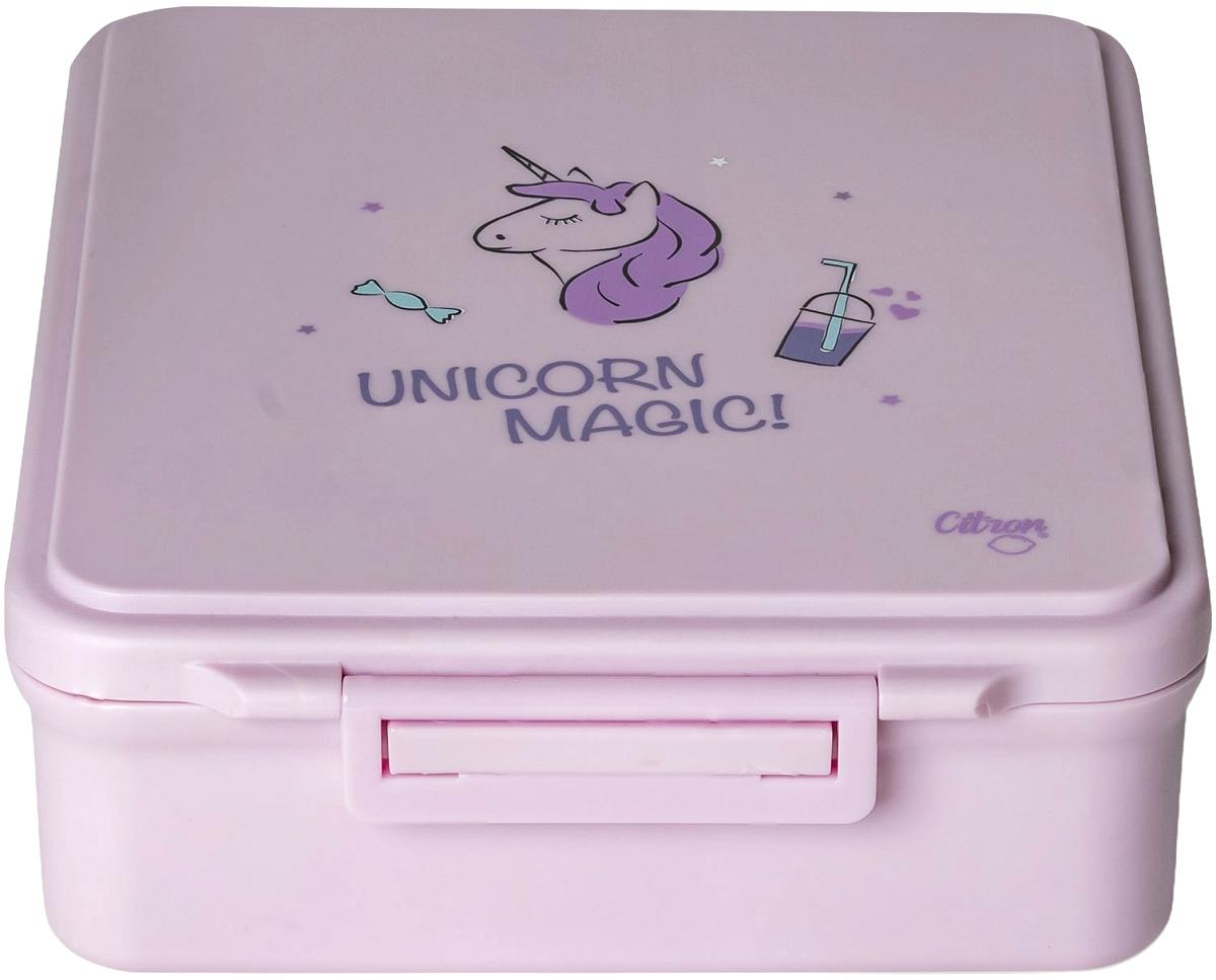 Caserola mare cu 4 compartimente si borcan termoizolant: Stormy Unicorn