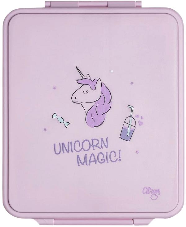 Caserola mare cu 4 compartimente si borcan termoizolant: Stormy Unicorn
