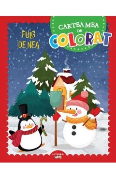 Fulg de nea. Cartea mea de colorat