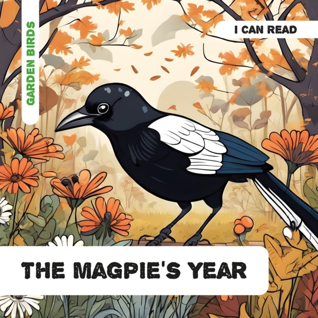 Magpie's Year - Caroline Petherbridge