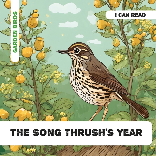 Song Thrush's Year - Caroline Petherbridge