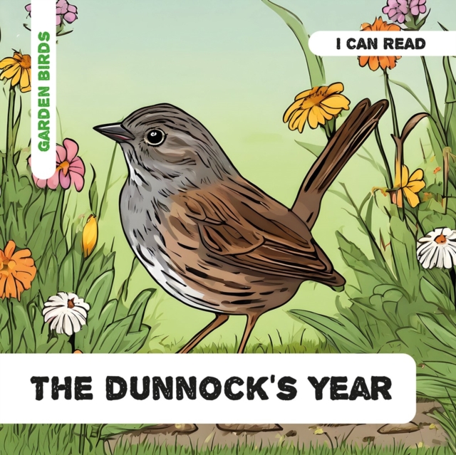 Dunnock's Year - Caroline Petherbridge