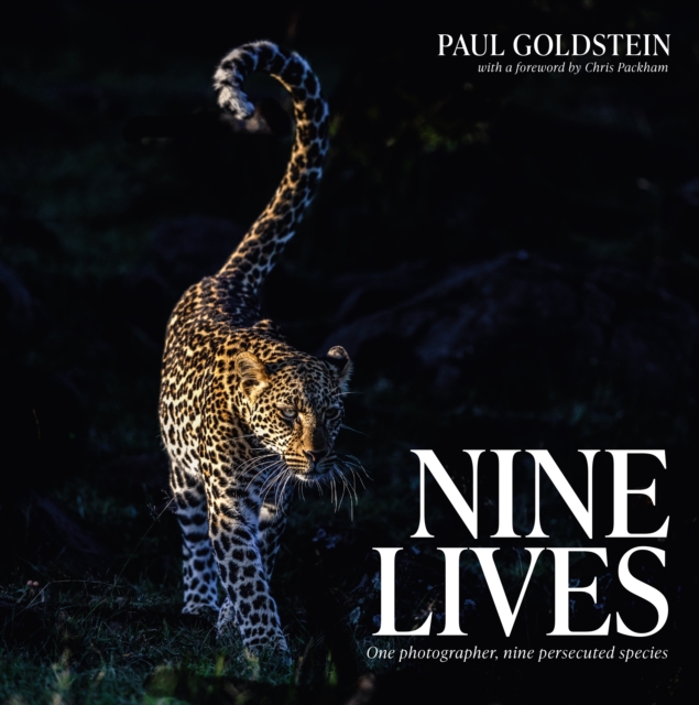 Nine Lives - Paul Goldstein