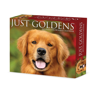 Goldens 2026 5.4 X 6.2 Box Calendar - 