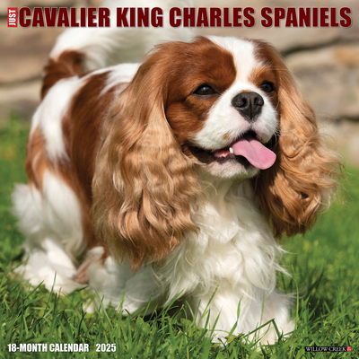 Cavalier King Charles Spaniels 2026 12 X 12 Wall Calendar - 
