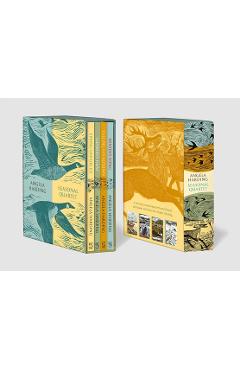 Poza produsului Angela Harding Seasonal Quartet Boxset: Includes Spring Unfurled, Summer's Hum, Falling Into Autumn and Winter's Song - Angela Harding