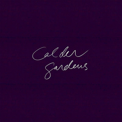 Calder Gardens: Drawings and Texts by Jacques Herzog - Jacques Herzog