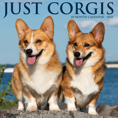 Corgis 2026 12 X 12 Wall Calendar - 