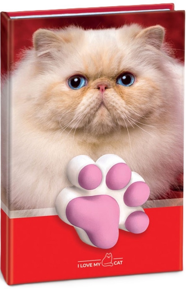Agenda pisicuta cu squishy. Coperta rosie