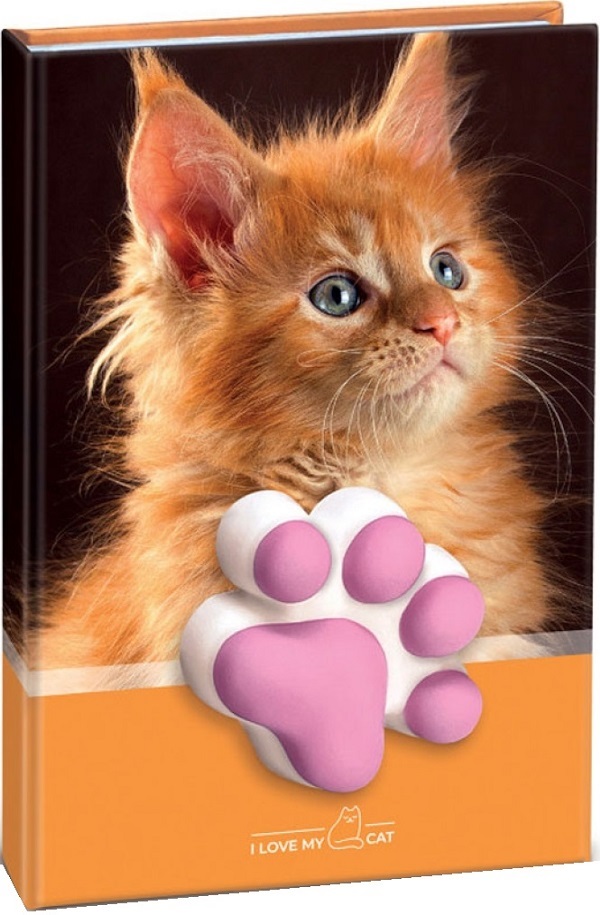 Agenda pisicuta cu squishy. Coperta portocalie