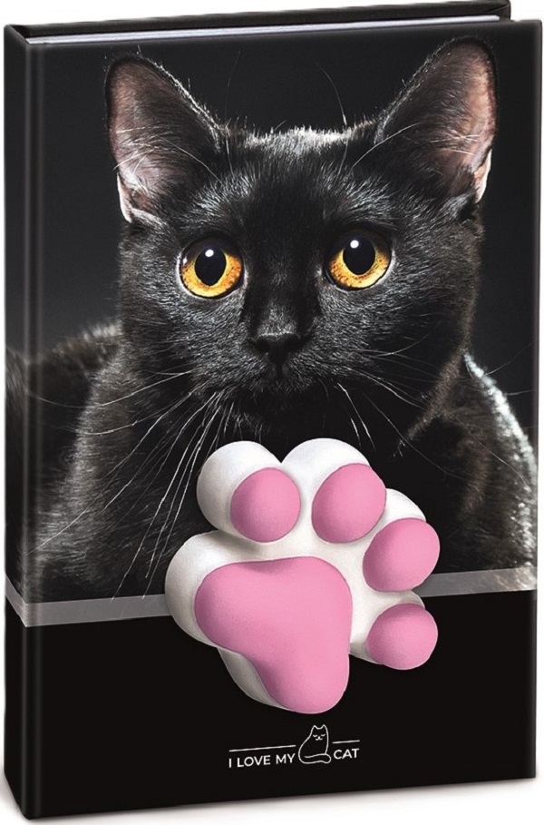 Agenda pisicuta cu squishy. Coperta neagra