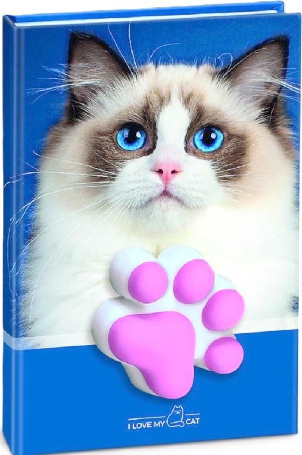 Agenda pisicuta cu squishy. Coperta bleumarin