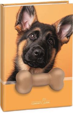 Imaginea produsului 'Agenda cățel cu squishy. Coperta portocalie'