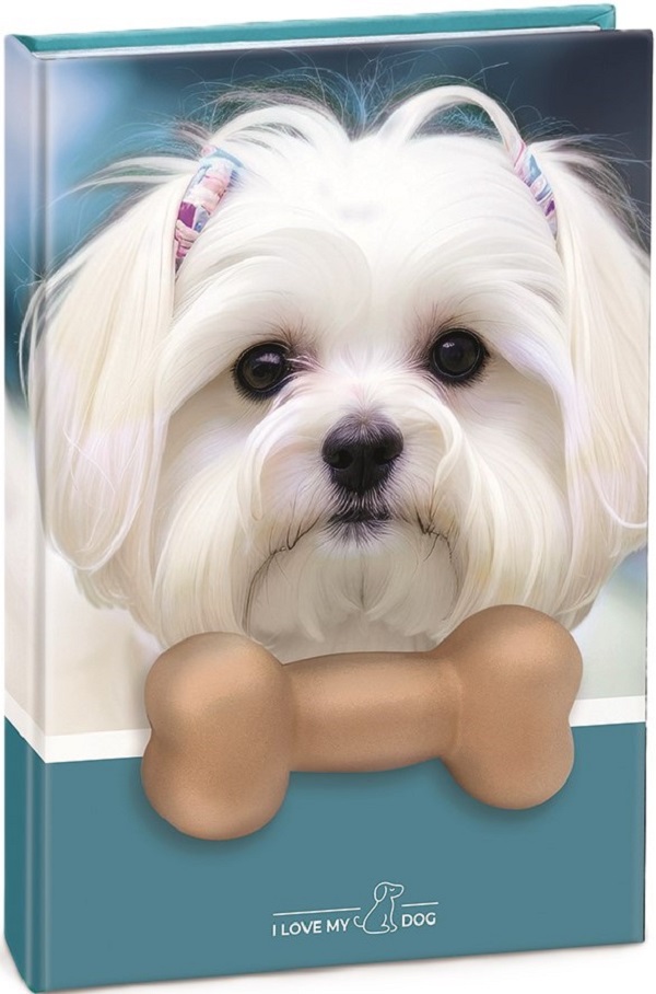 Agenda catel cu squishy. Coperta albastra