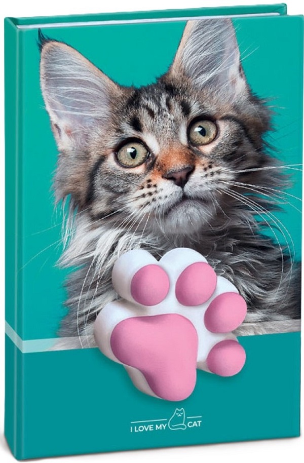 Agenda pisicuta cu squishy. Coperta verde