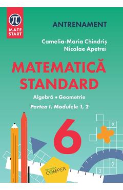 Matematica - Clasa 6 Partea 1 - Standard - Camelia-Maria Chindris, Nicolae Apetrei