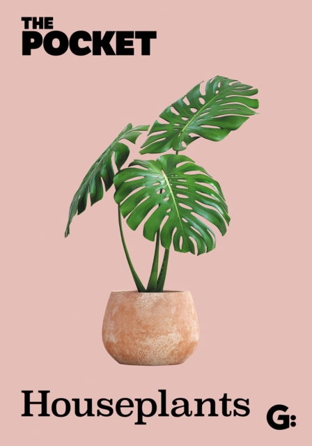 The Pocket Houseplants - 