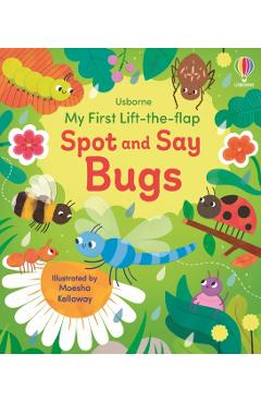 My First Lift-the-flap Spot and Say Bugs