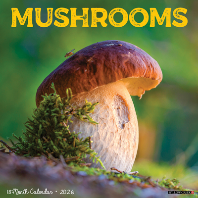 Mushrooms 2026 12 X 12 Wall Calendar - 
