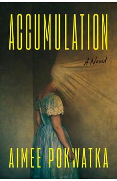 Coperta cărții 'Accumulation - Aimee Pokwatka'
