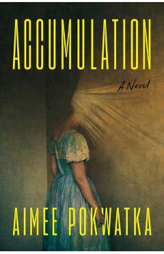 Accumulation - Aimee Pokwatka