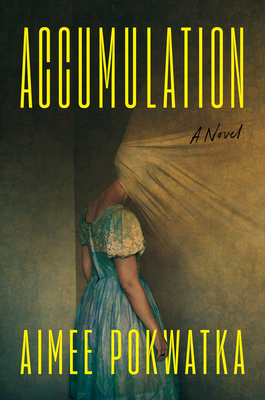 Coperta cărții 'Accumulation - Aimee Pokwatka'