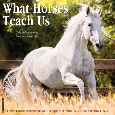 What Horses Teach Us 2026 12 X 12 Wall Calendar - 
