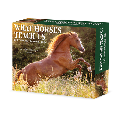What Horses Teach Us 2026 5.4 X 6.2 Box Calendar - 