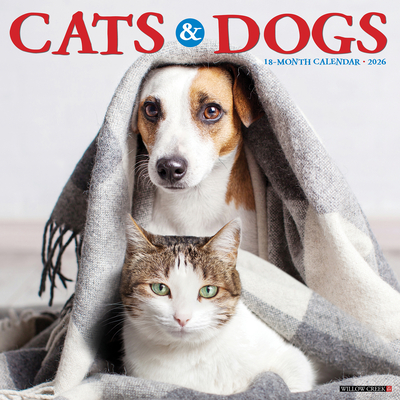 Cats & Dogs 2026 12 X 12 Wall Calendar - 