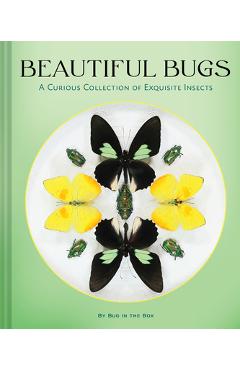 Coperta cărții 'Beautiful Bugs: A Curious Collection of Exquisite Insects -'