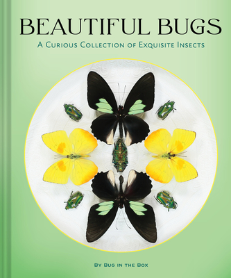 Coperta cărții 'Beautiful Bugs: A Curious Collection of Exquisite Insects -'