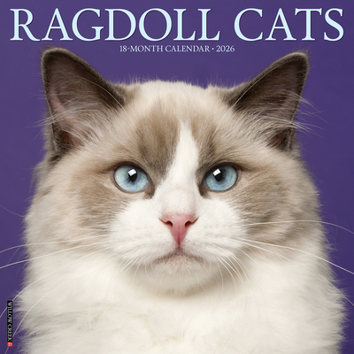Ragdoll Cats 2026 12 X 12 Wall Calendar - 