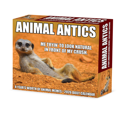 Animal Antics 2026 5.4 X 6.2 Box Calendar - 