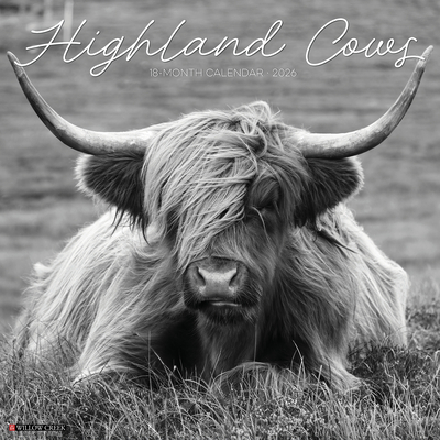 Highland Cows B&w 12 X 12 Wall Calendar - 