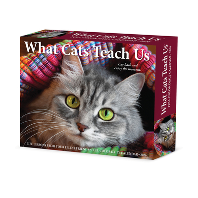 What Cats Teach Us 2026 5.4 X 6.2 Box Calendar - 