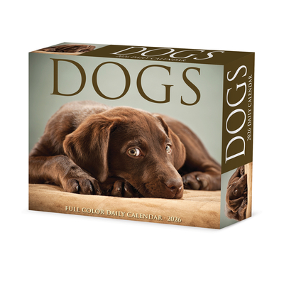 Dogs 2026 5.4 X 6.2 Box Calendar - 