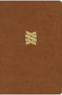 CSB Connecting Scripture New Testament, Brown Leathertouch: A Study Bible of Biblical Allusions and Quotations - Gregory K. Beale