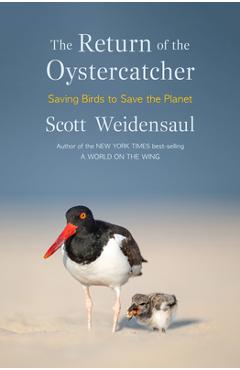 Coperta cărții 'The Return of the Oystercatcher: Saving Birds to Save the Planet - Scott Weidensaul'